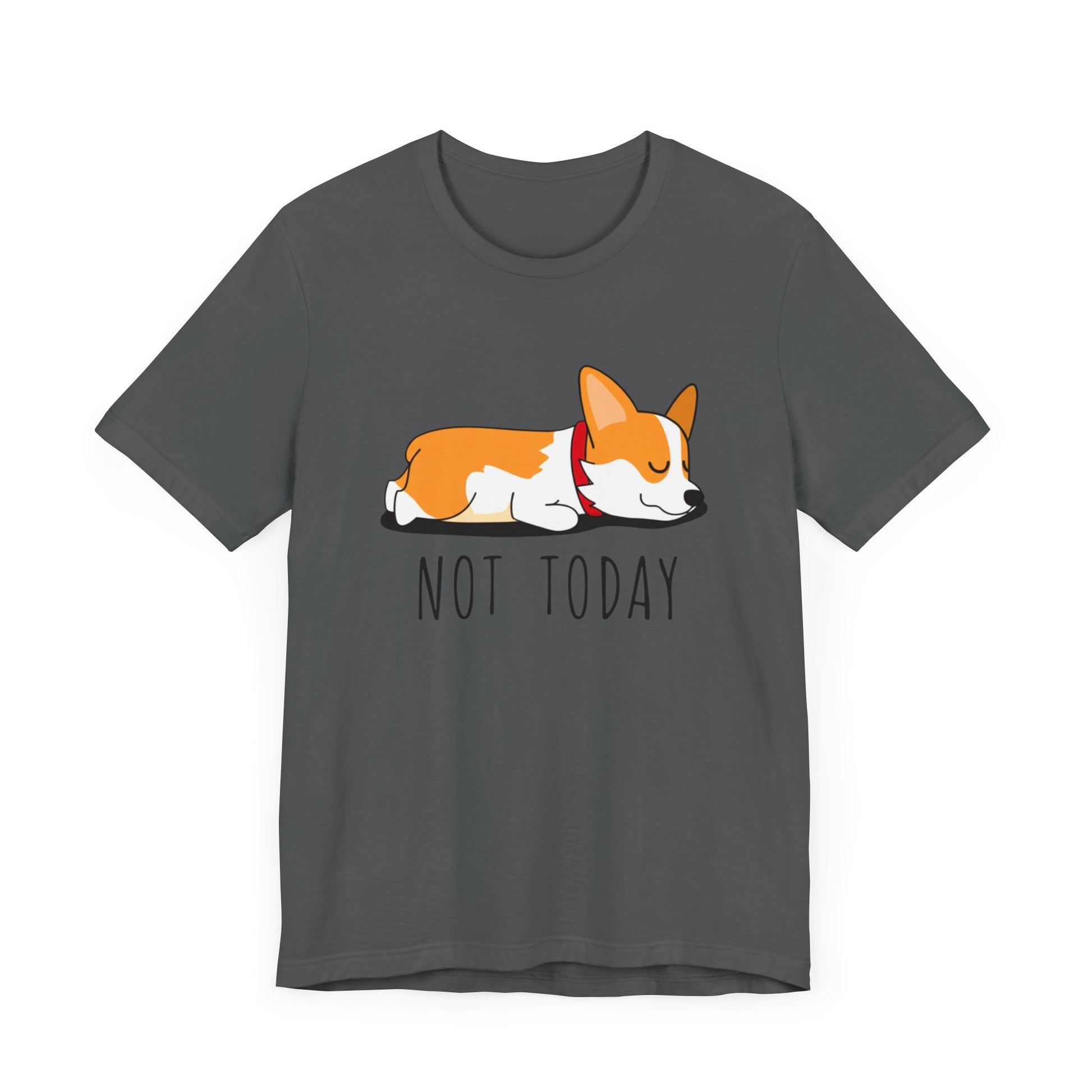 "Not Today" Corgi T-Shirt - Funny Lazy Day Tee